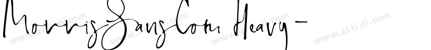 MorrisSansCom Heavy字体转换